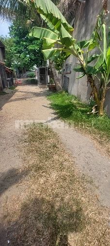 Cho thuê đất trống 650m2 đất thổ cư