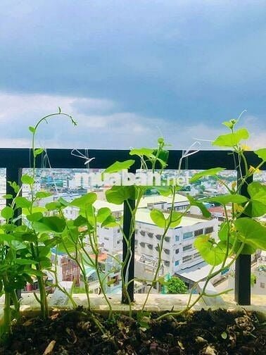 Căn hộ nội thất cao cấp. Nhà dọn sạch sẽ vô ở liền