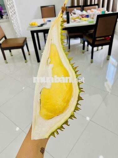 Căn hộ nội thất cao cấp. Nhà dọn sạch sẽ vô ở liền