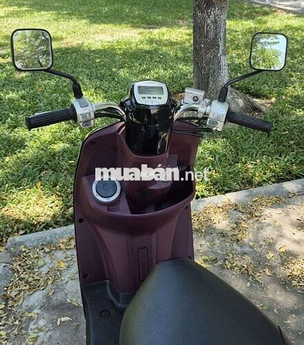 Yamaha Cuxi Fi đẹp ken, nguyên bản
