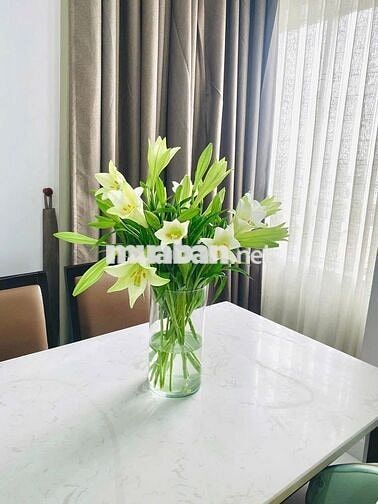 Căn hộ nội thất cao cấp. Nhà dọn sạch sẽ vô ở liền