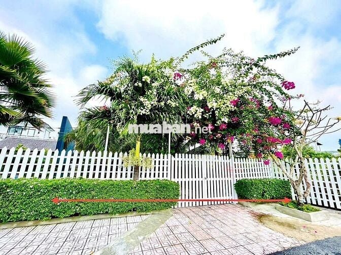 🌿 Đất Full Thổ Cư, Đất Rộng Vị Trí Đẹp Hiếm Có Tại Phước Vĩnh An🌳
