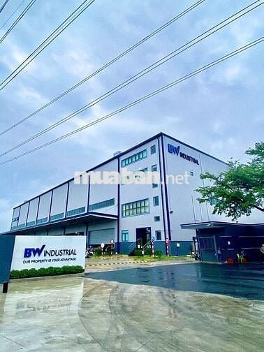 NHÂN VIÊN KIỂM ĐẾM ( KCN ĐỒNG AN 1, BD CŨ)