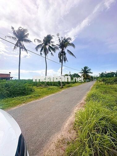 11x51 đường nhựa. 573m2 có thổ cư. Khu dân cư. 660tr TL