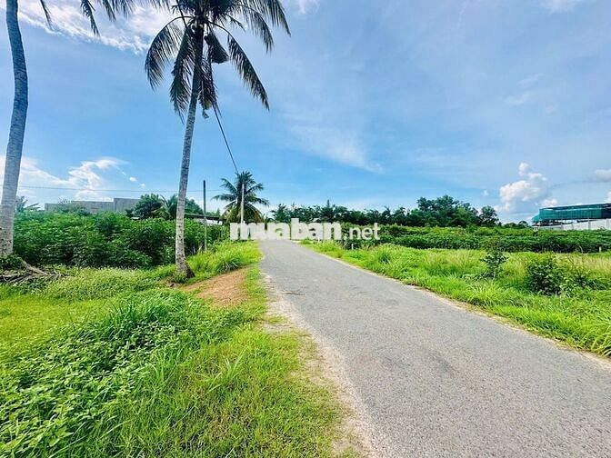11x51 đường nhựa. 573m2 có thổ cư. Khu dân cư. 660tr TL