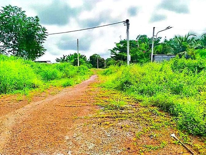 Công ty Đấu giá hợp danh Lam Sơn Sài Gòn thông báo đấu giá tài sản
