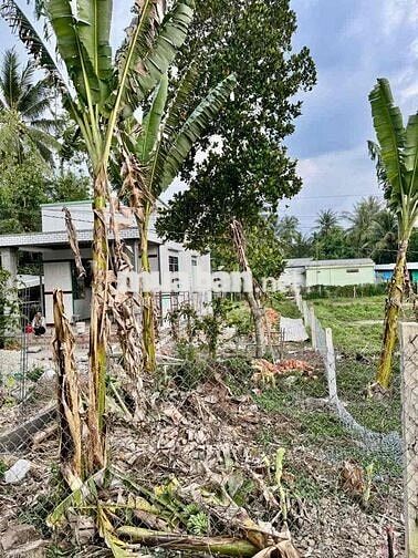 Bán Đất ẤP GIỒNG KÉ XÃ TRUNG NGÃI