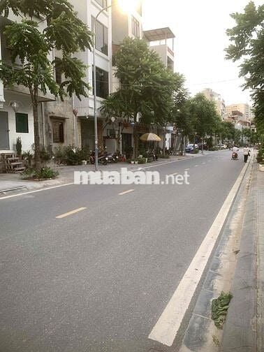 cho thuê nhà nguyên căn tại Ngọc Thuỵ