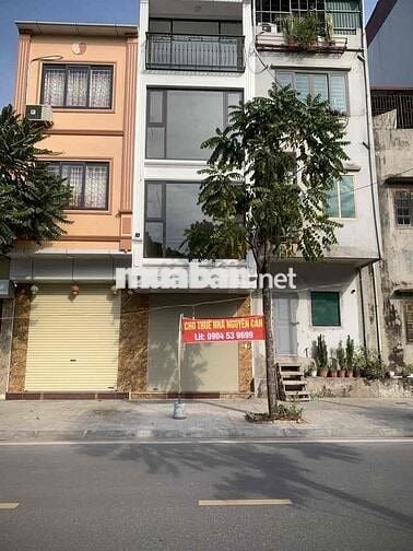 cho thuê nhà nguyên căn tại Ngọc Thuỵ