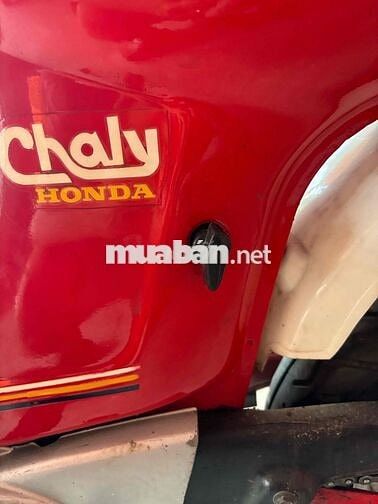Honda Chaly 81 50cc KHÔNG BẰNG LÁI