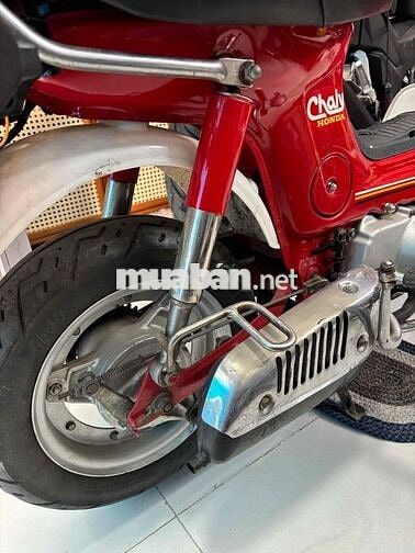 Honda Chaly 81 50cc KHÔNG BẰNG LÁI