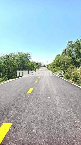 Bán đất tại Láng Dài, Đất Đỏ, HCM, 750 tr, 287.1m2, cần bán gấp