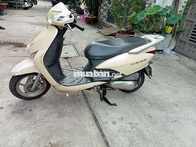 Honda Lead Fi nhật chính hãng Honda y hình 