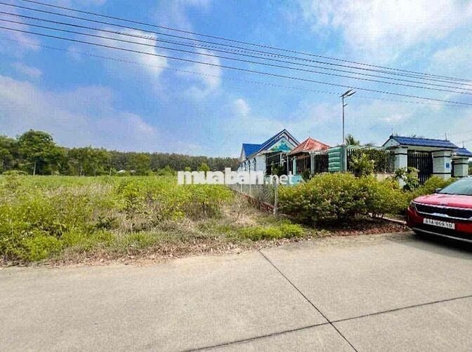 Đất Làm Kho Xưỡng , xây trọ giá ngộp