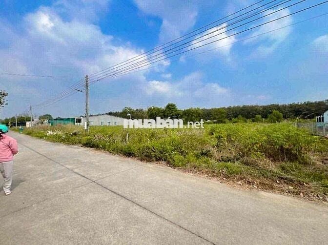 Đất Làm Kho Xưỡng , xây trọ giá ngộp