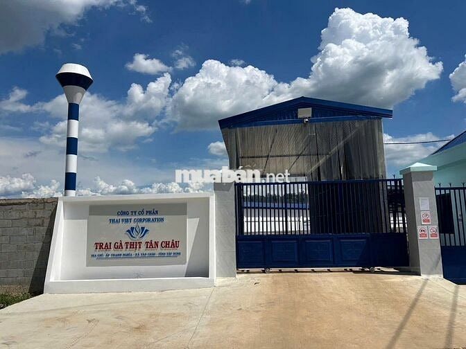 Phụ Bảo Trì Trại Gà Tây Ninh