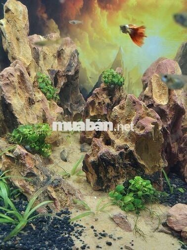 NHÀ NGHỈ DƯỠNG CỰC ĐẸP – FULL NỘI THẤT – DỌN VÀO Ở NGAY