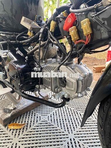 Honda Future Đỏ đen 65AC