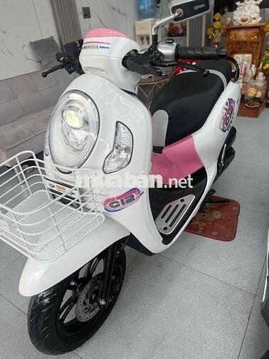 Scoopy 2022 Lướt 8 ngan B65 GÓP CẦN CCCD ĐỦ 18tuổi