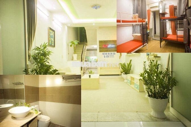 Trọ ghép Đại học Kinh tế HCM UEH Nguyễn Đình Chiểu Sinh viên Văn phòng