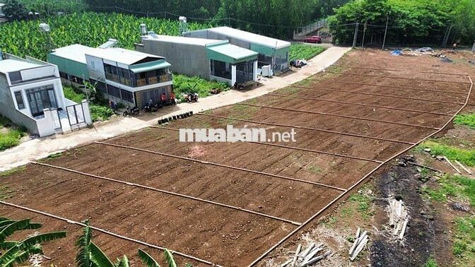 115m2 đất thổ cư hẻm bê tông 5m sát Nguyễn Hoàng và gần chợ Sông Trầu