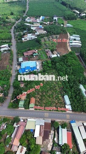 115m2 đất thổ cư hẻm bê tông 5m sát Nguyễn Hoàng và gần chợ Sông Trầu