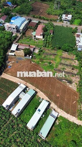 115m2 đất thổ cư hẻm bê tông 5m sát Nguyễn Hoàng và gần chợ Sông Trầu