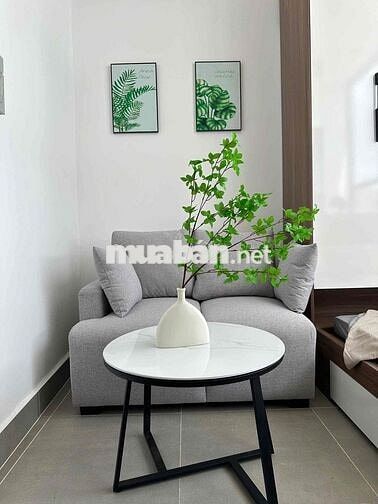 STUDIO CỬA SỔ - NEW 100% - FULL MÁY GIẶT, SẤY - NGAY LUỸ BÁN BÍCH