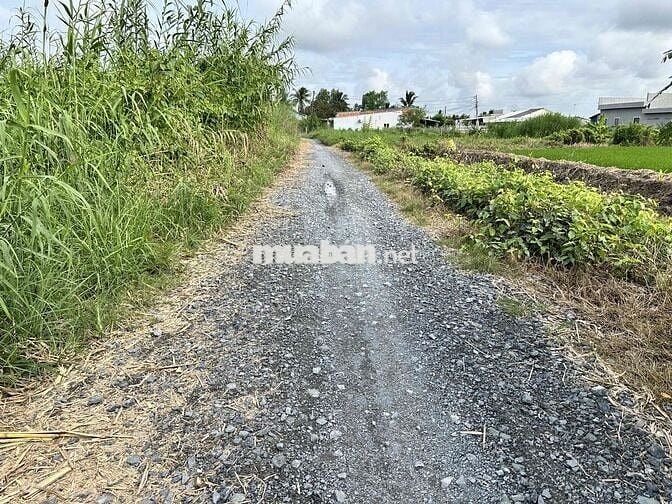 🌈 Đất thổ 5,8x26m Nhựt Chánh, Bến Lức. đường xe tải 660tr