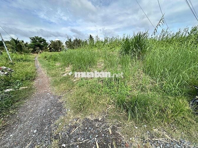 🌈 Đất thổ 5,8x26m Nhựt Chánh, Bến Lức. đường xe tải 660tr