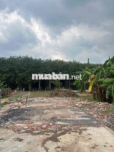 cần bán gấp 1000m2 sổ riêng thổ cư 100%, dân cư hiện hữu. hỗ trợ vay