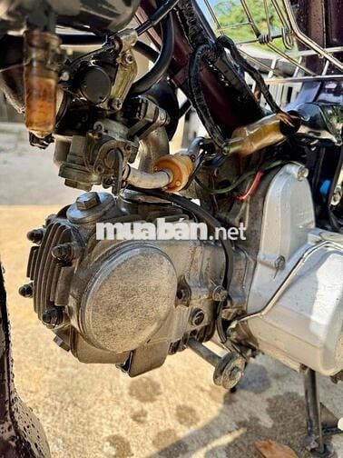 Honda Dream Tím Đã sử dụng