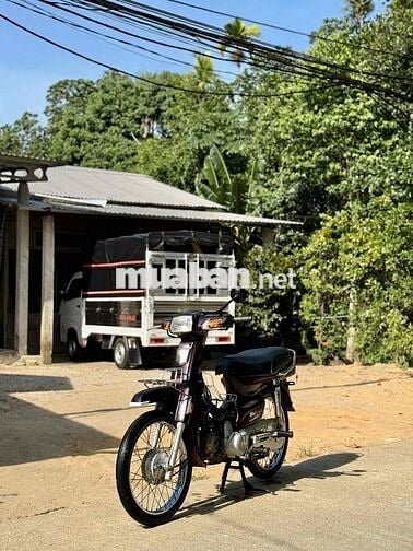 Honda Dream Tím Đã sử dụng