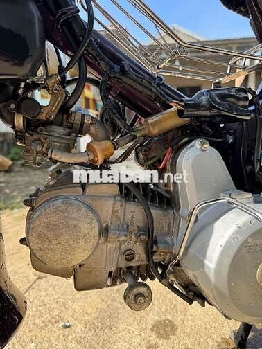 Honda Dream Tím Đã sử dụng