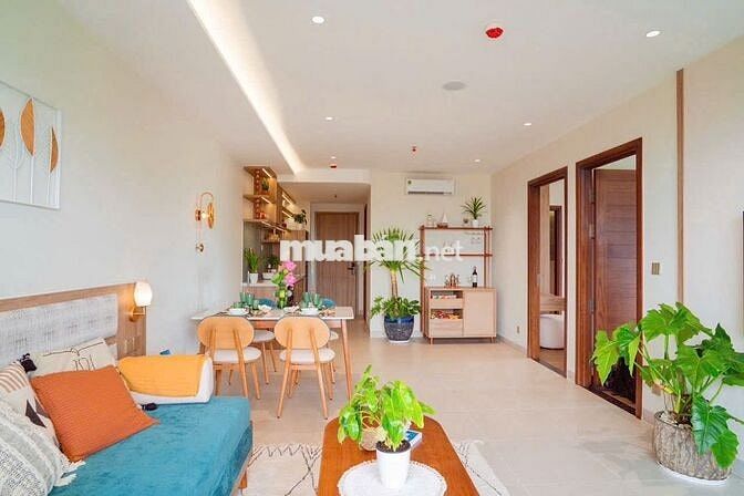 🌊 CĂN 1PN+1 ORIANA COMPLEX – VIEW ĐƯỜNG 3/2, BIỂN | CHỈ TỪ 64TR/M² 🌊
