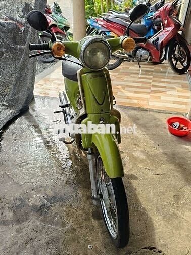 Honda Super Cub Xanh lá Việt Nam