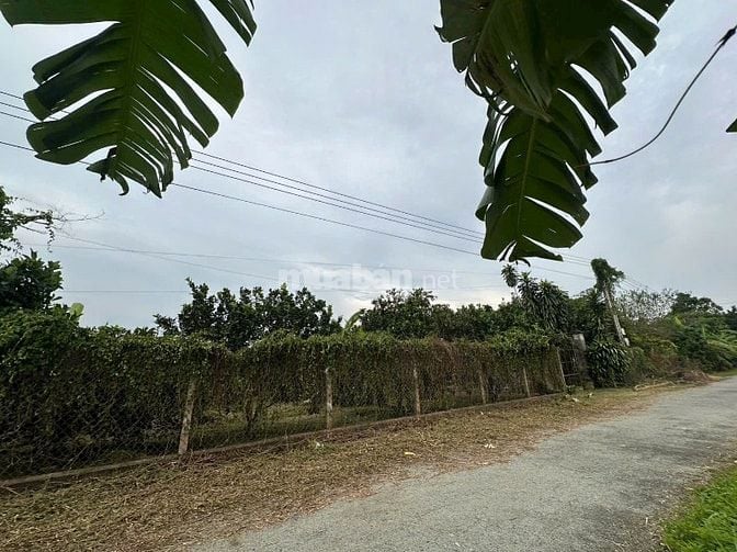 Đất trồng bưởi, có sẵn 200m2 thổ cư vị trí đẹp mát mẻ