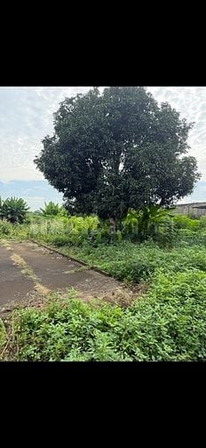Bán gấp mặt tiền đường Láng 2ty7 đất Châu Đức, Bà Rịa, 500m2 có thổ cư