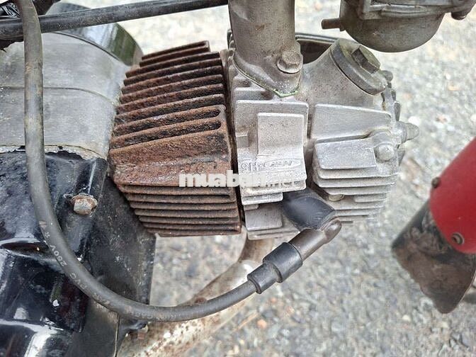 Honda MD 50 Số sàn màu Đỏ