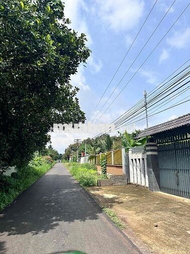 siêu phường Ngay Tân Phong sát Vành đai 2, gần KCN hot quá 🎉