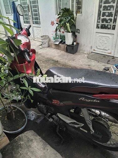 SYM Angela 50cc Đỏ Đen