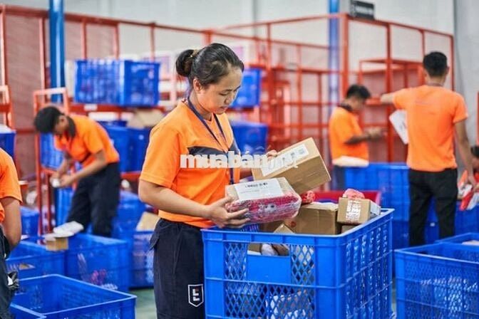 THỜI VỤ LAZADA 7/7 - ĐĂNG KÝ CA - NHẬN LƯƠNG 15/7