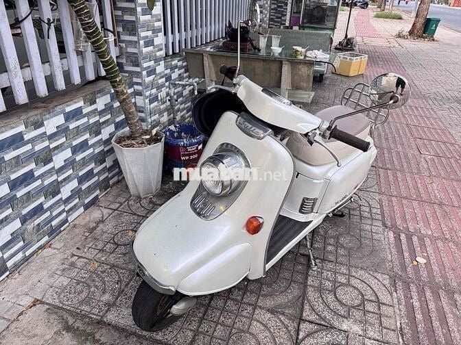 Honda Julio 50cc Trắng