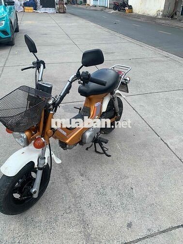 Honda Cub Chaly 50cc Vàng đồng siêu bền