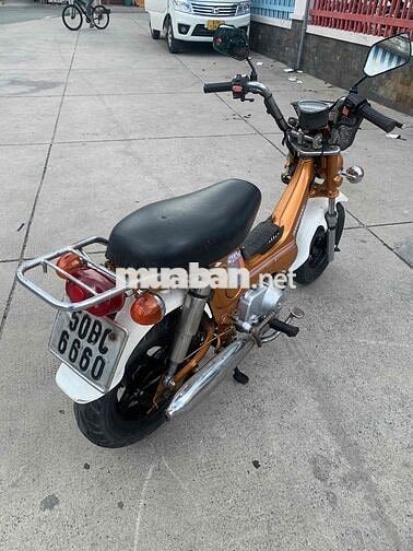 Honda Cub Chaly 50cc Vàng đồng siêu bền