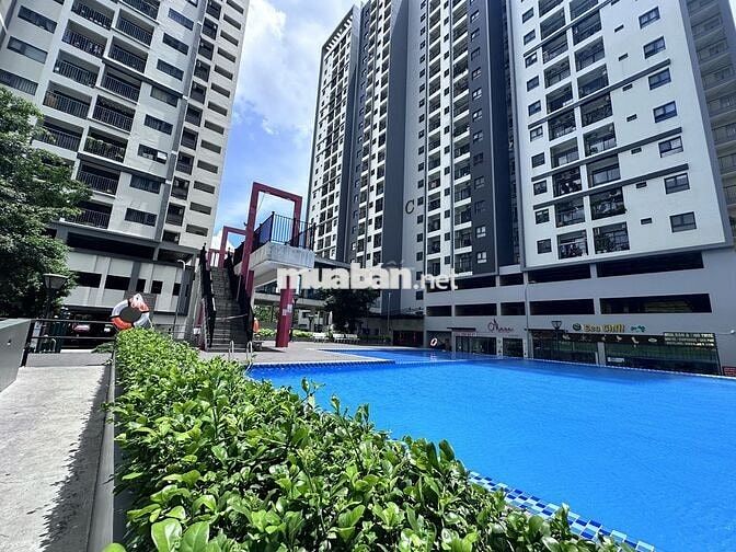 ECOXUAN CHO THUÊ CĂN HỘ 2PN,2WC GIÁ CHỈ 5,8 TRIỆU/THÁNG