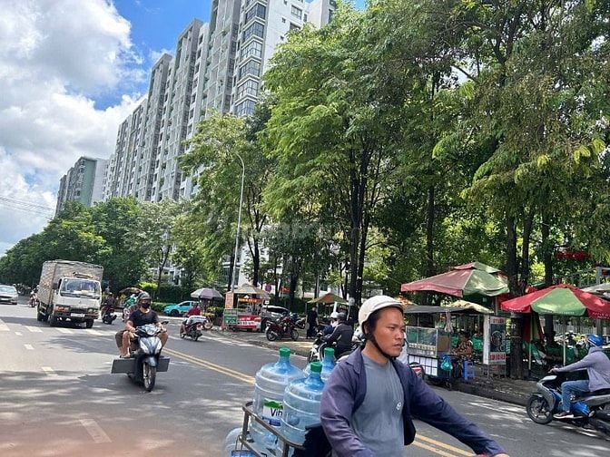Chủ kẹt bán gấp MTKD Tô Hiệu nối dài. 4.2 x 30m. Nhà cấp 4. Giá 12.6