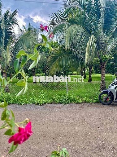 🌿 CHỈ 1,3 TỶ – SỞ HỮU NGAY LÔ ĐẤT ĐẸP XÂY NHÀ VƯỜN | 20 PHÚT ĐẾN NÚI C
