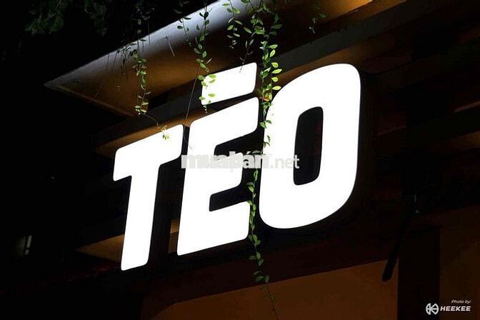 TÈO PREMIUM TÌM ĐỒNG ĐỘI