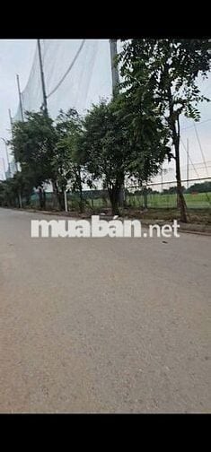 Cho thuê Biệt Thự KĐT Thanh Hà_Bàn Giao Thô_Nhìn ra sân golf